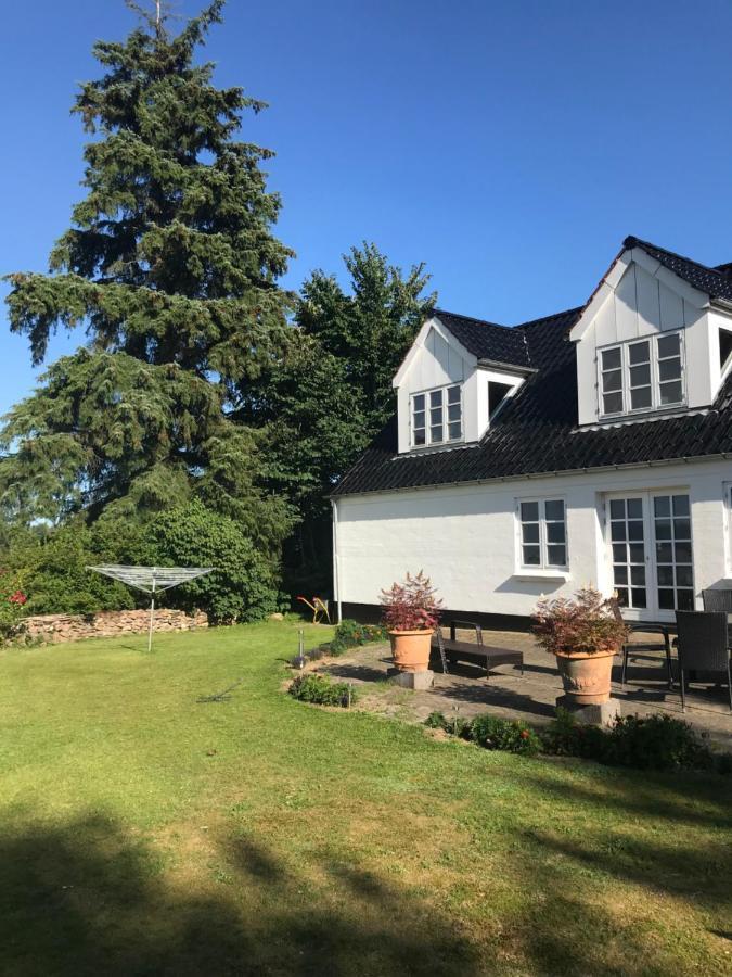 Pedersholt Bed & Breakfast Dybvad Esterno foto